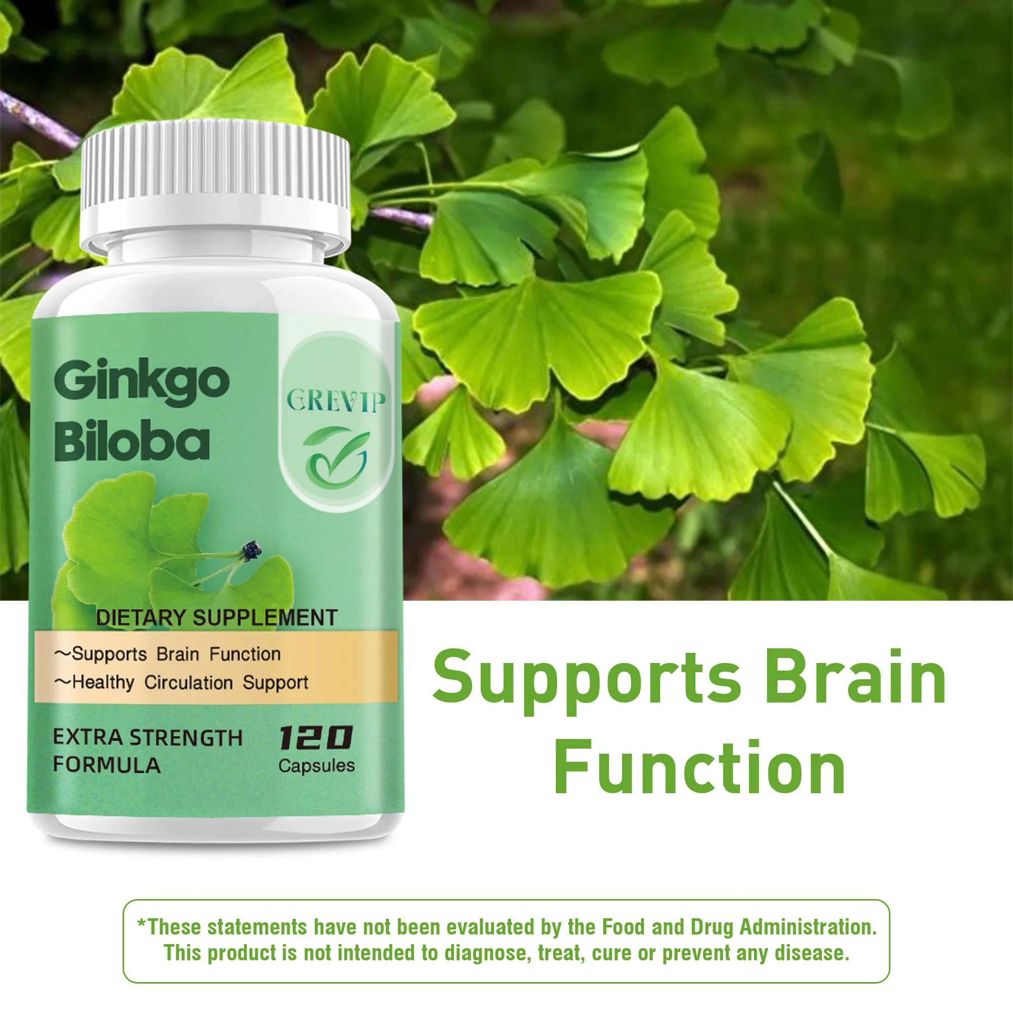 Ginkgo Biloba Capsules - Suppo – Ginkgo Biloba Extract Bewertung und Preis