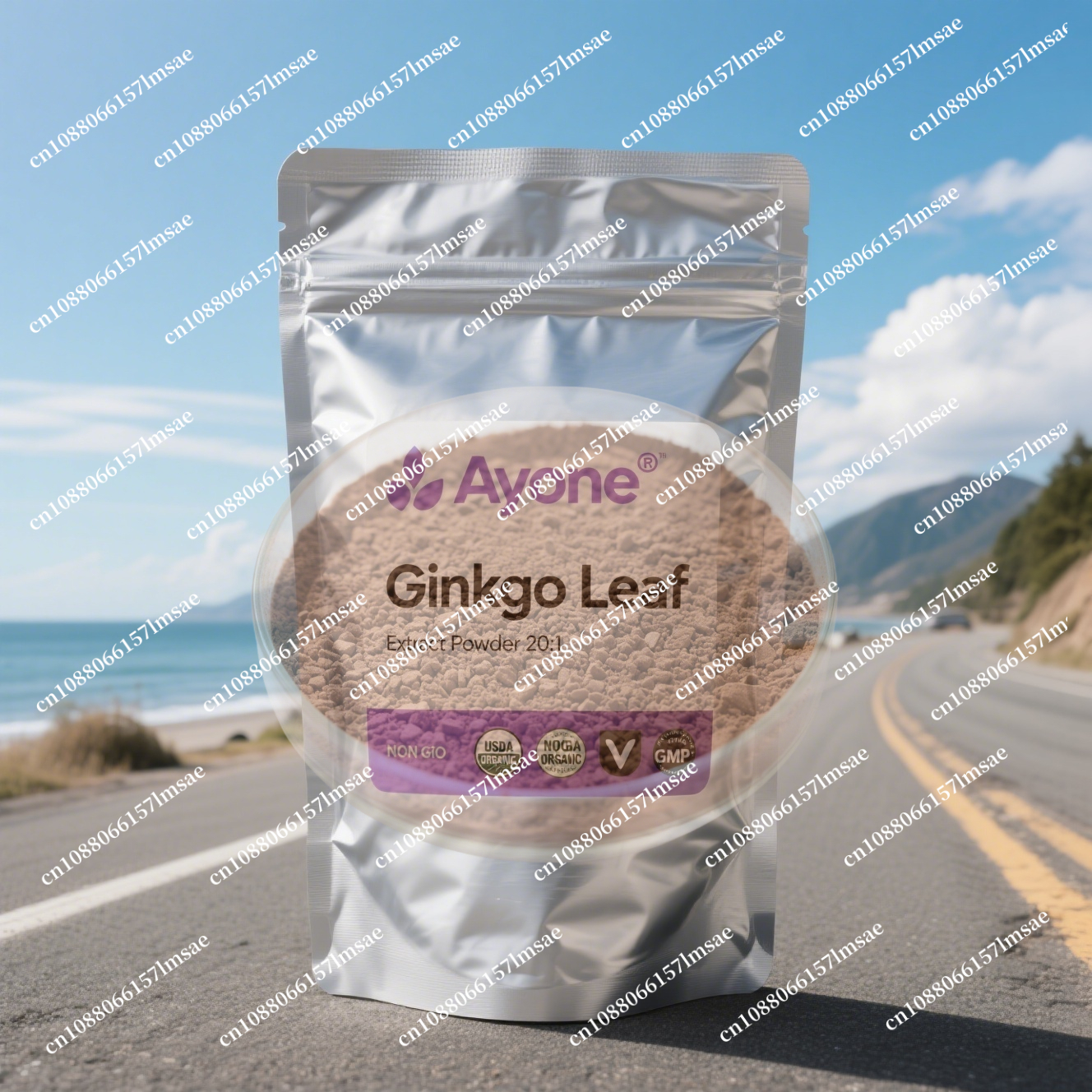 Factory professional packaging – Ginkgo Biloba Extract Bewertung und Preis