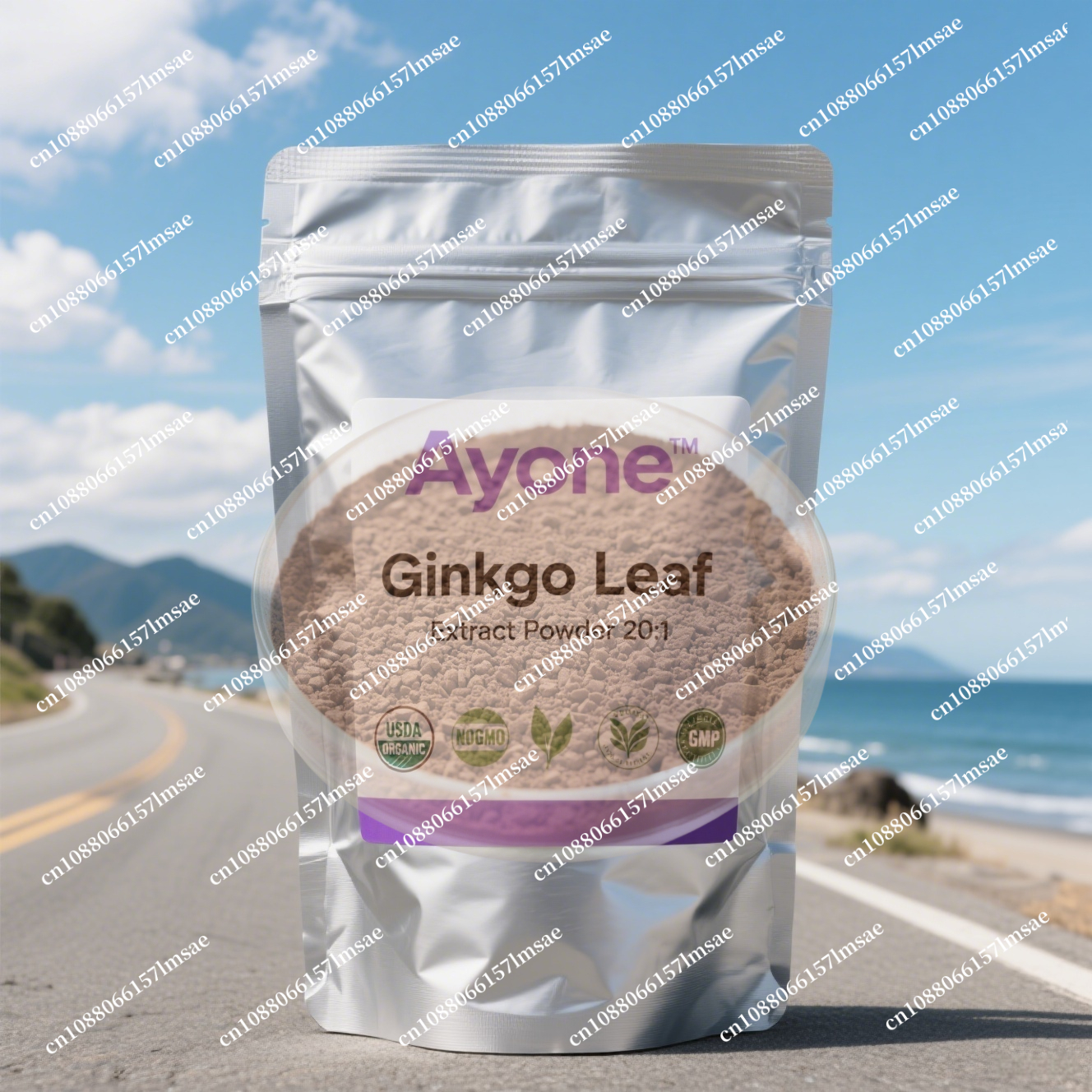 Factory professional packaging – Ginkgo Biloba Extract Bewertung und Preis