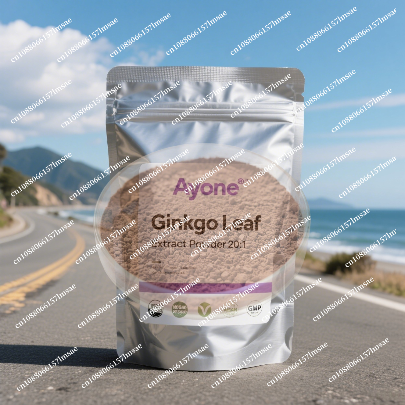 Factory professional packaging – Ginkgo Biloba Extract Bewertung und Preis