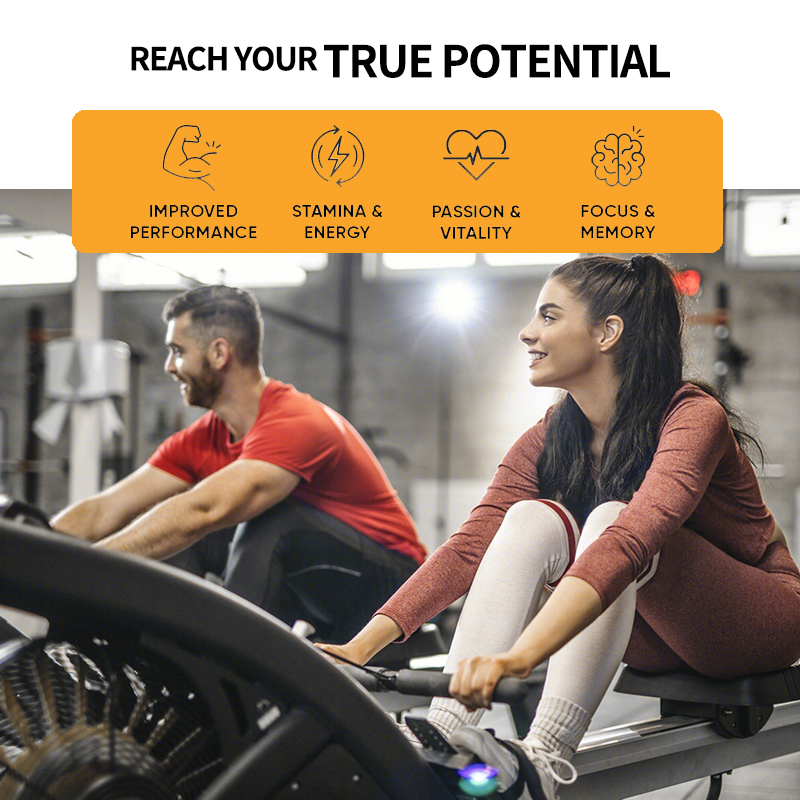Ginseng + Ginkgo Biloba Extrac – Ginkgo Biloba Extract Bewertung und Preis