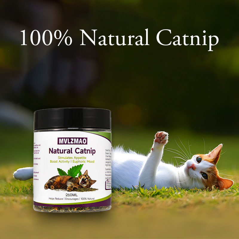 Cat Toys - Silvervine Catnip f – Nettle Leaf Tea Bewertung und Preis