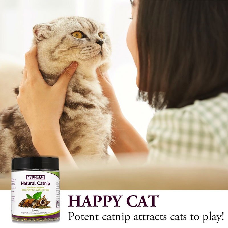 Cat Toys - Silvervine Catnip f – Nettle Leaf Tea Bewertung und Preis